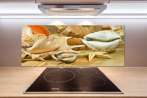 Glasrückwand für die küche Muscheln auf Holz