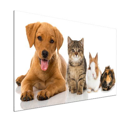 Platte für Küchenrückwand Hund und Katze