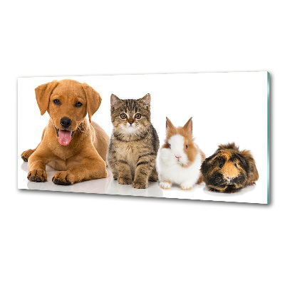 Platte für Küchenrückwand Hund und Katze