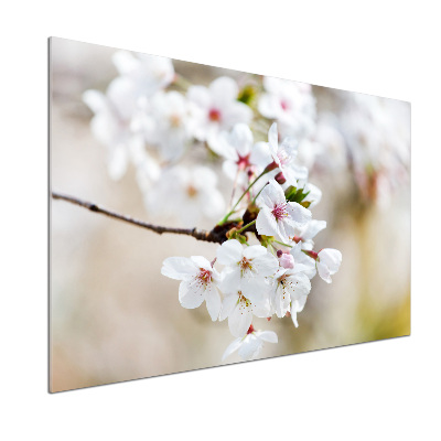 Küchen wandpaneel Kirschblüten