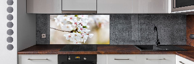 Küchen wandpaneel Kirschblüten