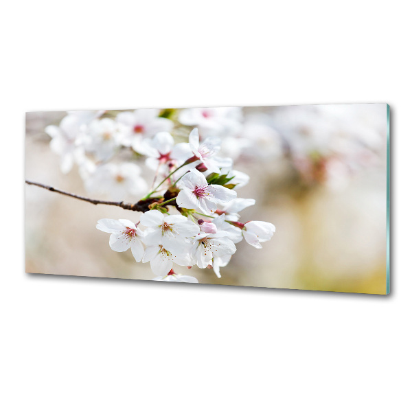 Küchen wandpaneel Kirschblüten