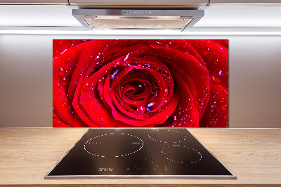 Glasrückwand für die küche Rosenblüte