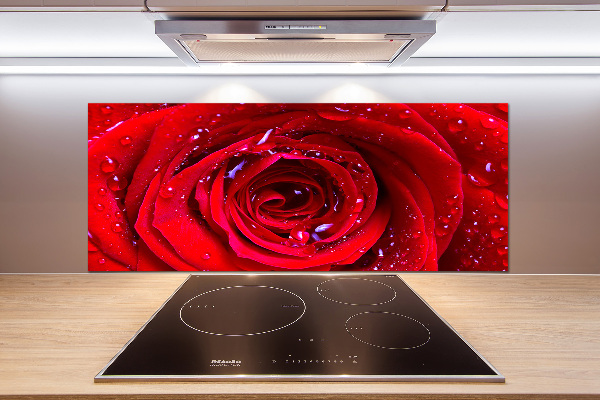 Glasrückwand für die küche Rosenblüte