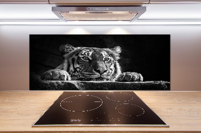Glasrückwand für die küche Tiger