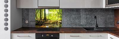 Glasrückwand für die küche Sonnenstrahlen im Wald
