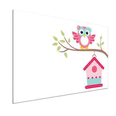 Glasrückwand für die küche Eule auf einem Ast