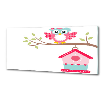 Glasrückwand für die küche Eule auf einem Ast
