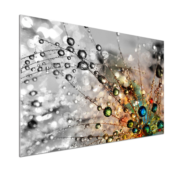 Glasrückwand für die küche Löwenzahnsamen