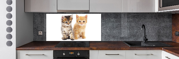 Platte für Küchenrückwand Braune und rote Katze