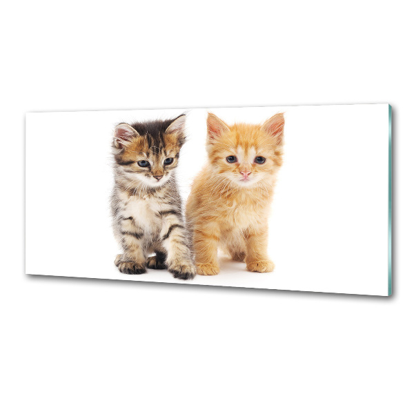 Platte für Küchenrückwand Braune und rote Katze