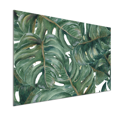 Glasrückwand für die küche Monstera