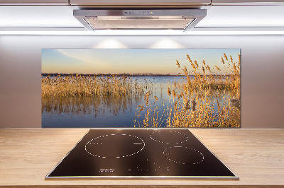 Glasrückwand für die küche Schilfrohr