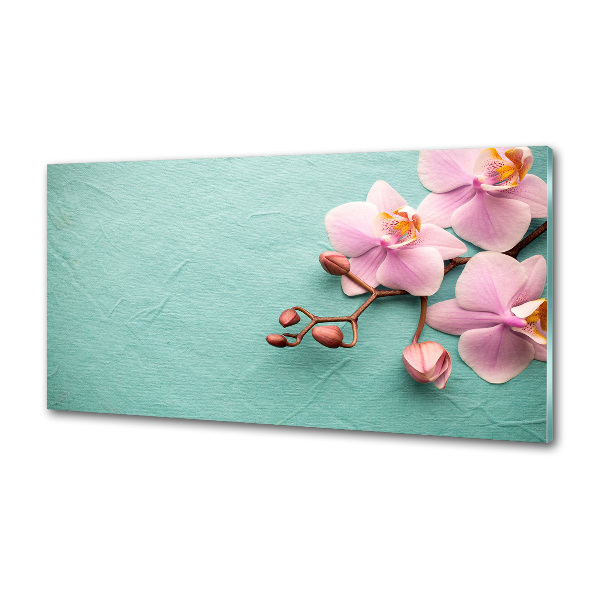 Glasrückwand für die küche Orchidee