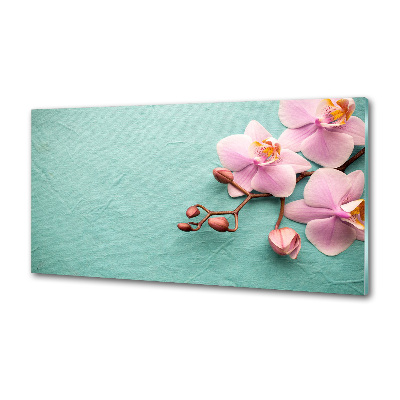 Glasrückwand für die küche Orchidee