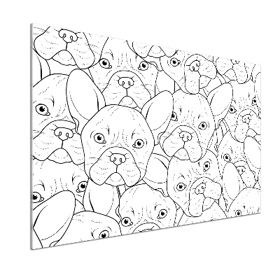 Glasrückwand für die küche Französische Bulldoggen