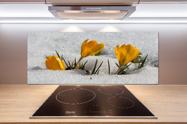 Küchen wandpaneel Krokusse im Schnee