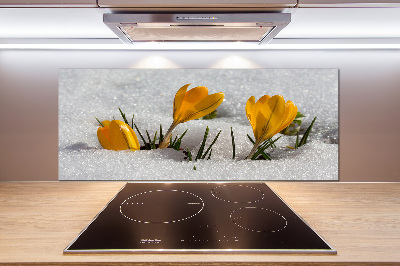 Küchen wandpaneel Krokusse im Schnee