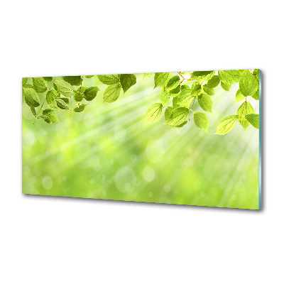 Glasrückwand für die küche Blätter