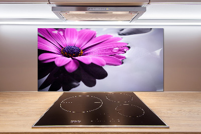 Küchen wandpaneel Gerbera