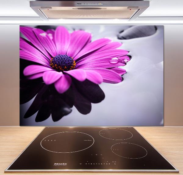 Küchen wandpaneel Gerbera