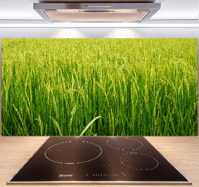 Platte für Küchenrückwand Reisfeld