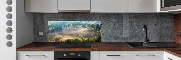 Küchen wandpaneel Nebel im Wald
