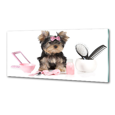 Platte für Küchenrückwand Yorkshire Kosmetik