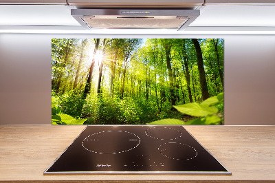 Glasrückwand für die küche Wald in der Sonne