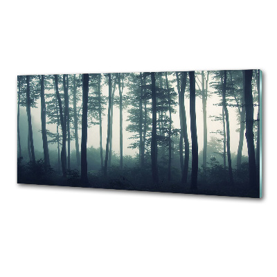 Küchen wandpaneel Wald im Nebel