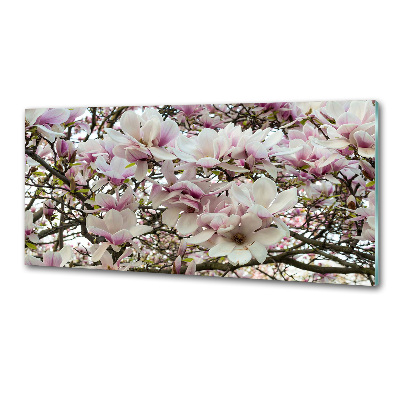 Glasrückwand für die küche Magnolienblüten