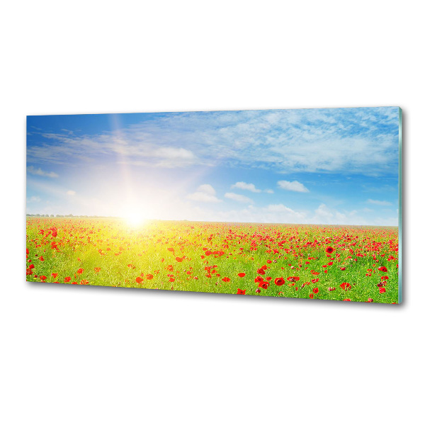 Glasrückwand für die küche Mohnfeld