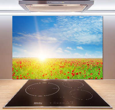 Glasrückwand für die küche Mohnfeld