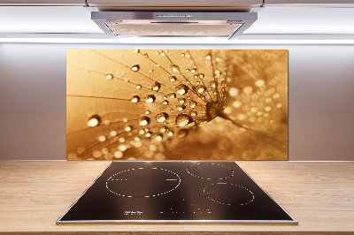 Küchen wandpaneel Löwenzahn