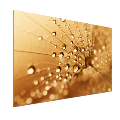 Küchen wandpaneel Löwenzahn