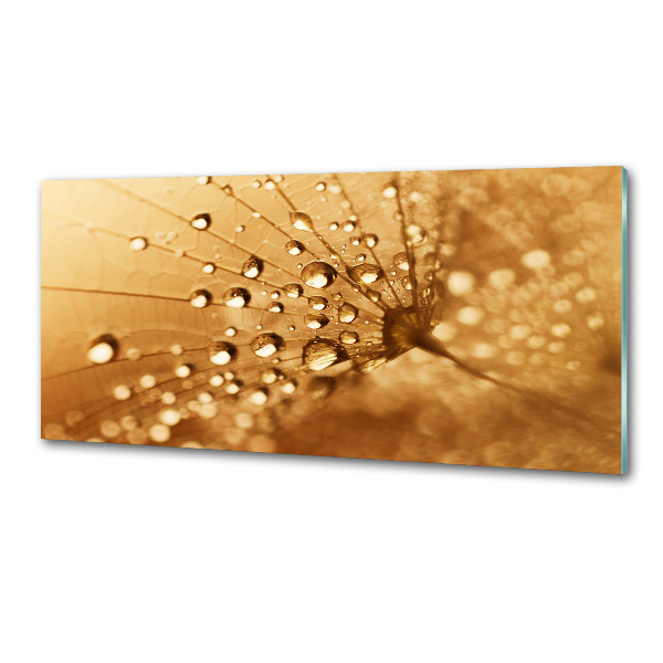 Küchen wandpaneel Löwenzahn