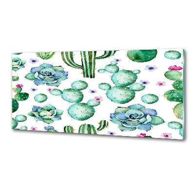 Küchen wandpaneel Kakteen