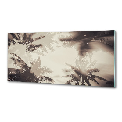 Glasrückwand für die küche Palmen