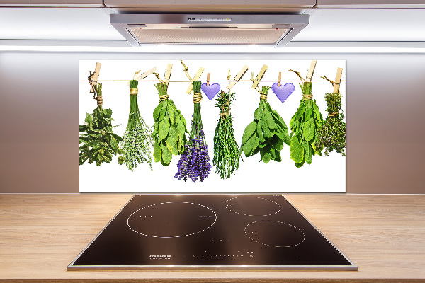 Glasrückwand für die küche Kräuter an einer Schnur