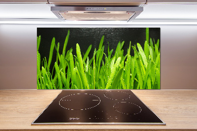 Küchen wandpaneel Gras