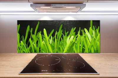 Küchen wandpaneel Gras