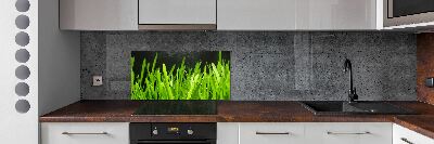 Küchen wandpaneel Gras