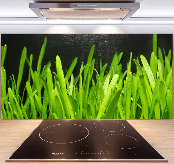 Küchen wandpaneel Gras