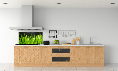 Küchen wandpaneel Gras