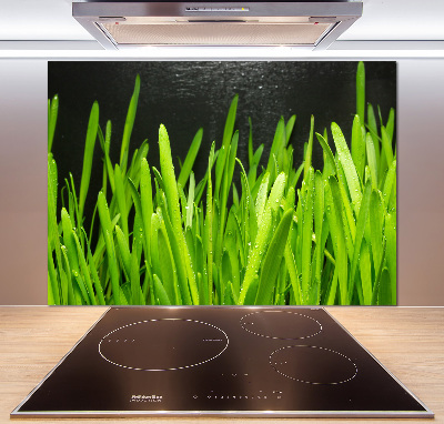 Küchen wandpaneel Gras