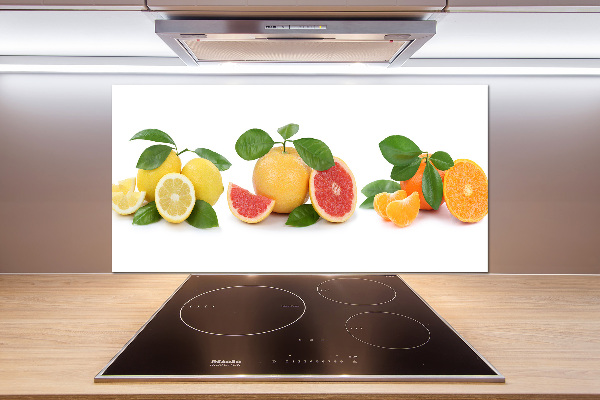 Platte für Küchenrückwand Zitrusfrüchte