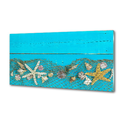 Küchen wandpaneel Seesterne und Muscheln