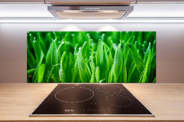 Platte für Küchenrückwand Gras