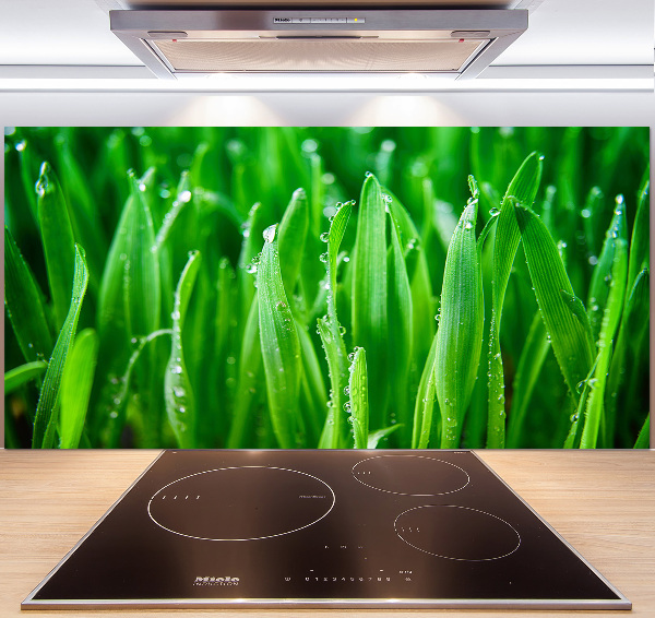 Platte für Küchenrückwand Gras