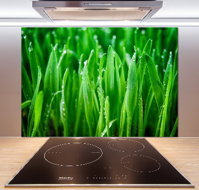 Platte für Küchenrückwand Gras